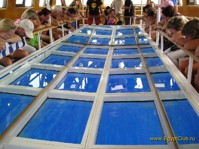 ���� #02 � �������� ����� � DOMINA CORAL BAY