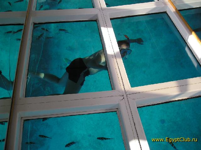 ���� #03 � �������� ����� � DOMINA CORAL BAY