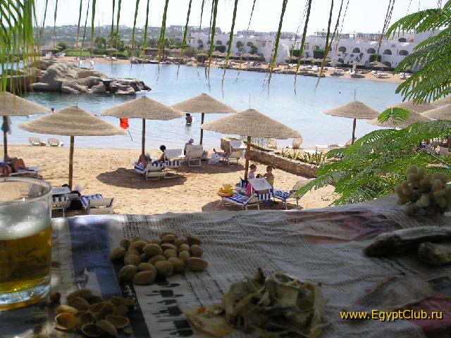 ���� #05 � �������� ����� � DOMINA CORAL BAY