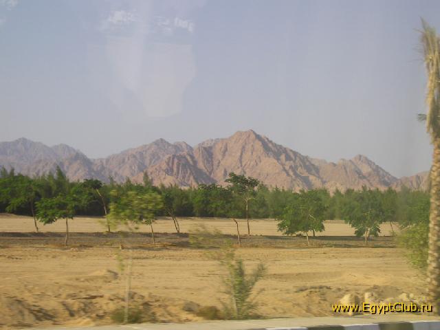 ���� #45 � �������� ����� � DOMINA CORAL BAY