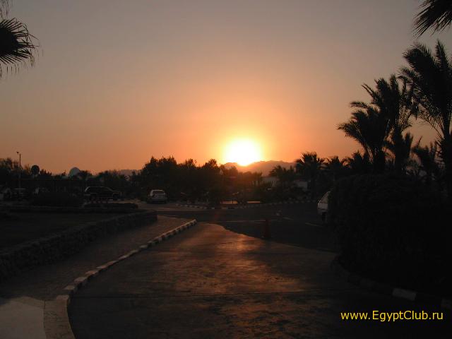 Domina Coral Bay ����� � �����