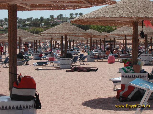 Domina Coral Bay ���� � ���