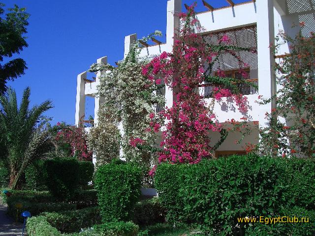 800-� ������