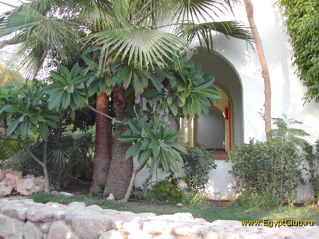 Domina Coral Bay ������ 58