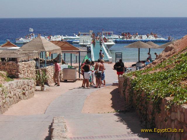 Domina Coral Bay ������� � �������