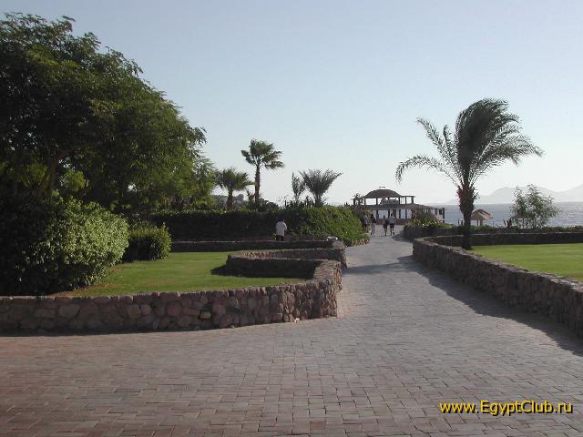 Domina Coral Bay ������� � Bahia bar