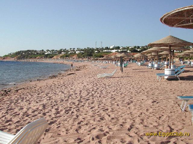 Domina Coral Bay ����