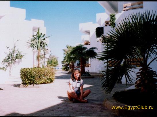 ����� �������