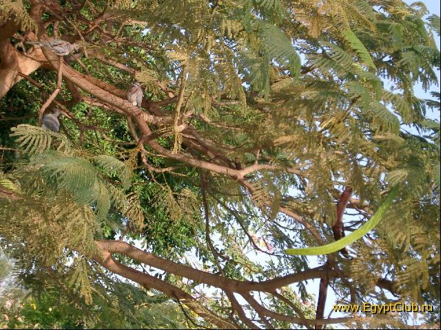 ���������� �����