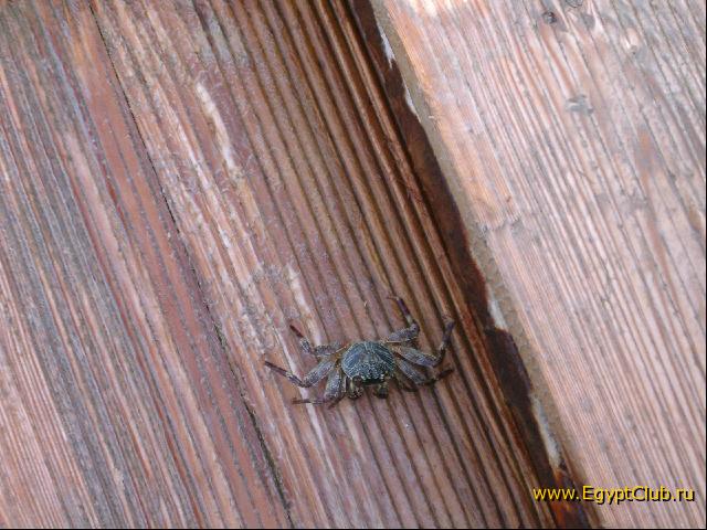 ��� ����� ��!