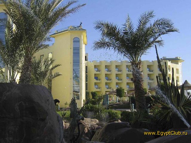 ��� �����