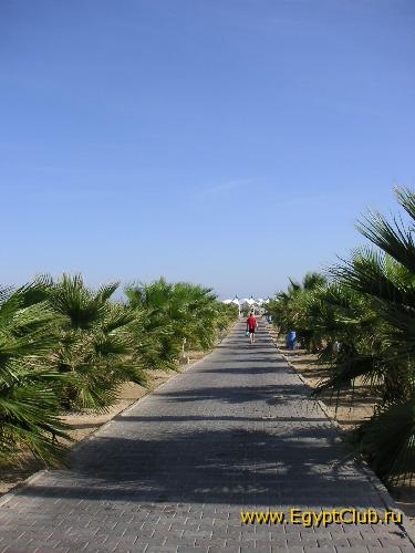 ����� �� ����