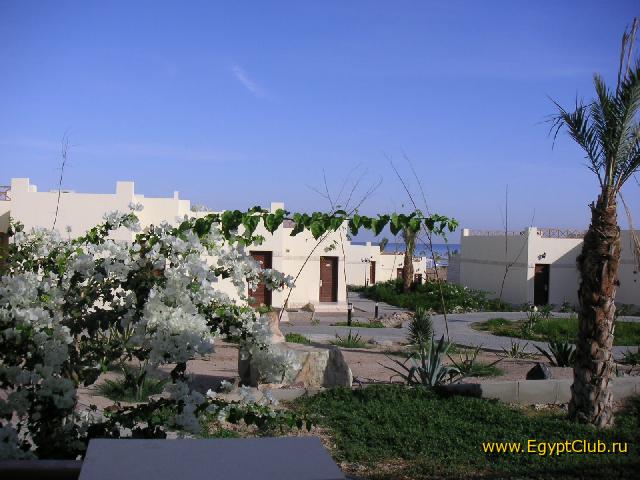 ������ ��� �����������