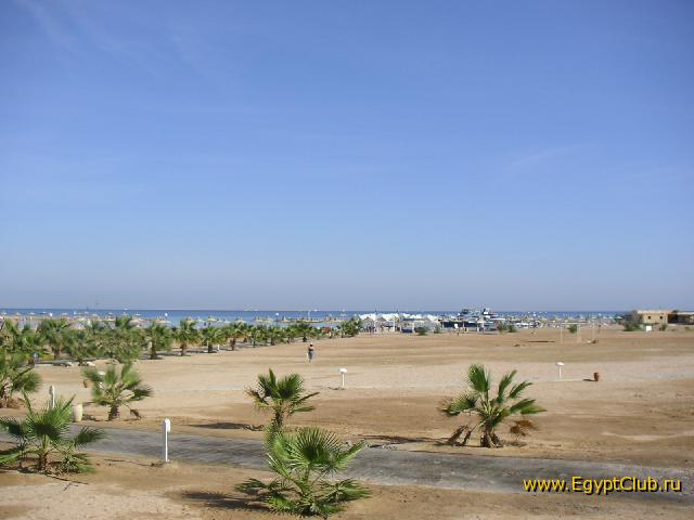 � ��� ����������