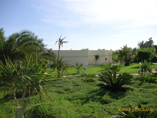 � ��� � ������