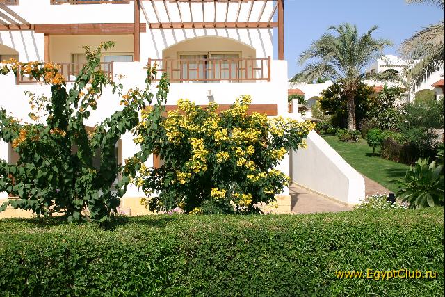 ���������� �����