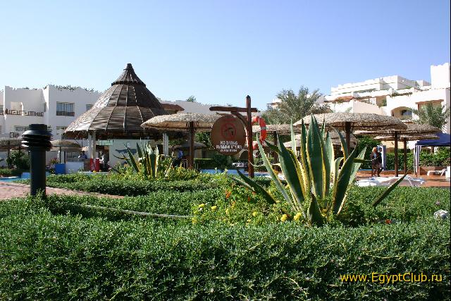 ���������� �����