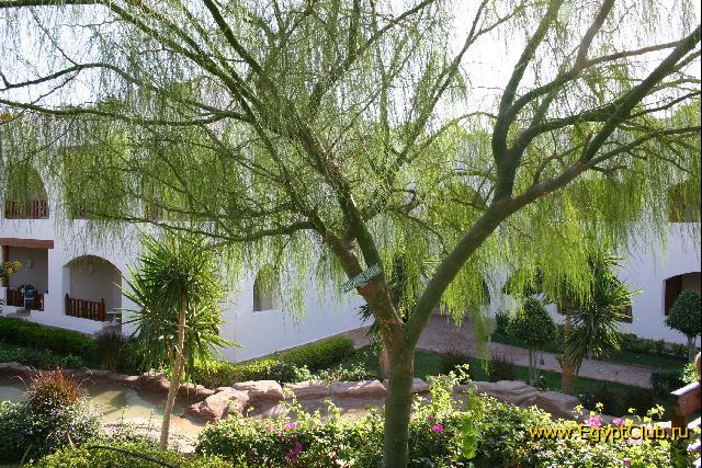 ���������� �����