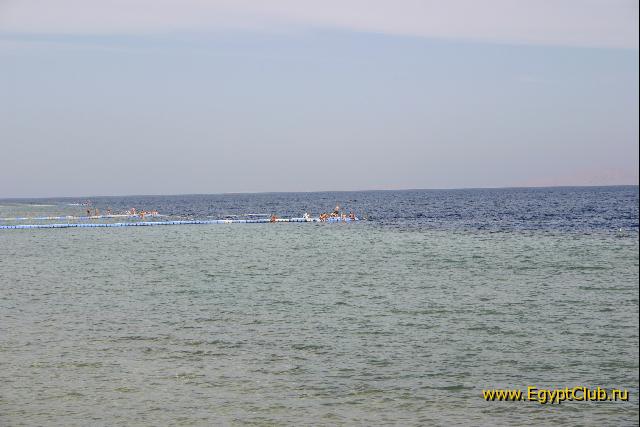 ��� �� ������