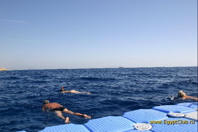 ��� � �������