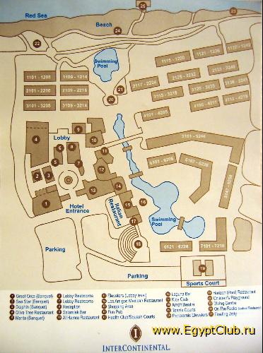 ���� �����