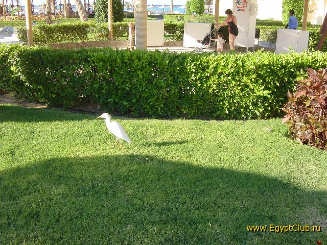 �� ������� � ��������