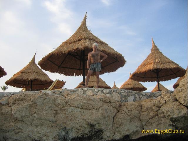 ������� ������ 2004