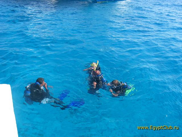 ����������)