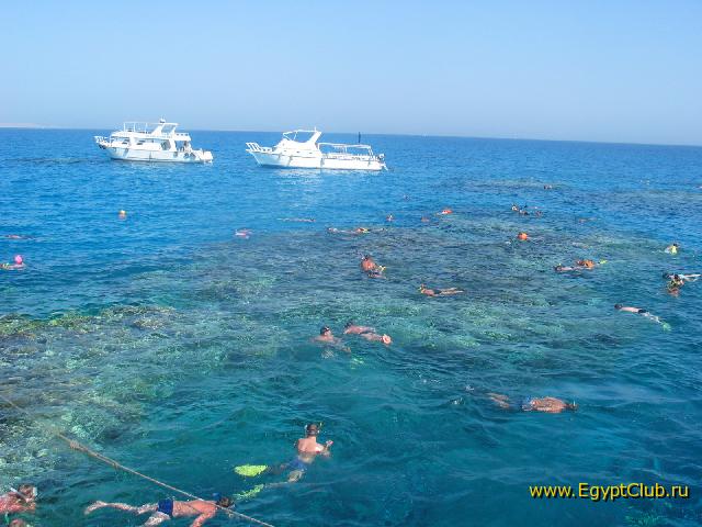 �����������))