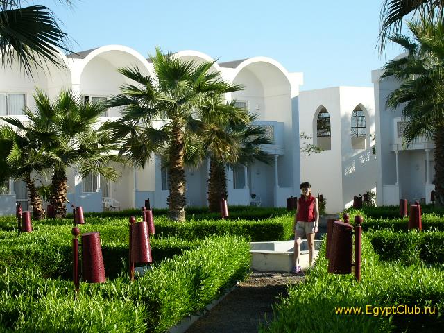 ������ ������