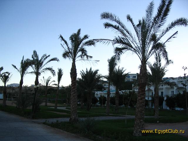 ��� ������ ����� 4