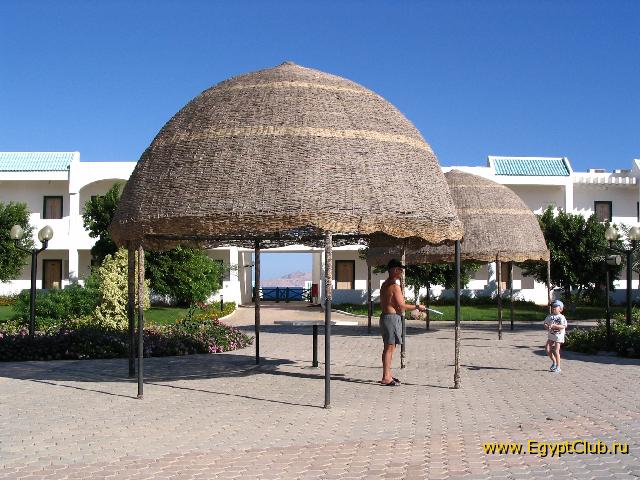 �� ���� ��� ��� �������.