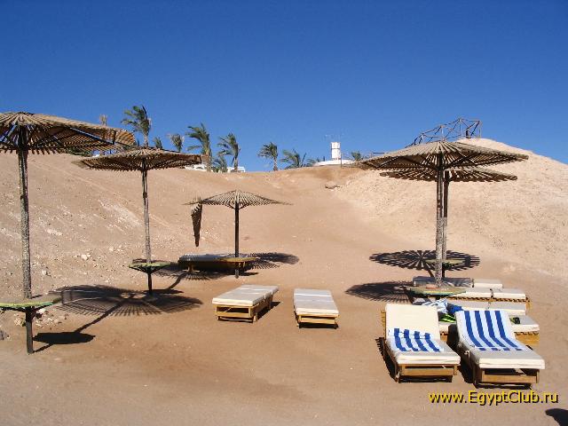 ������� �����.