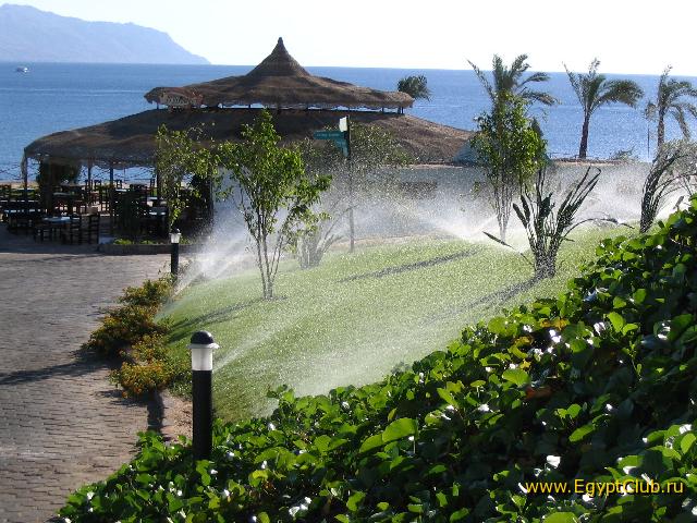 �� ������� - �� ��������.