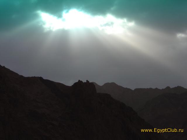 � ������ �����������