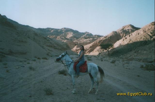 �� ������������ ������