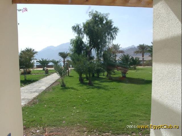 ������� ���� �����