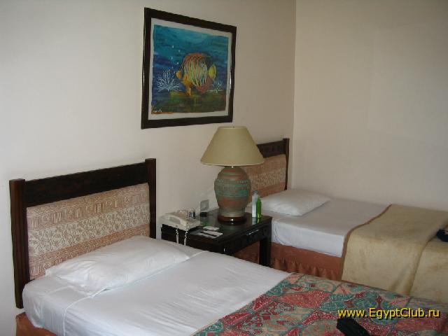 ����������� ����� ����� 