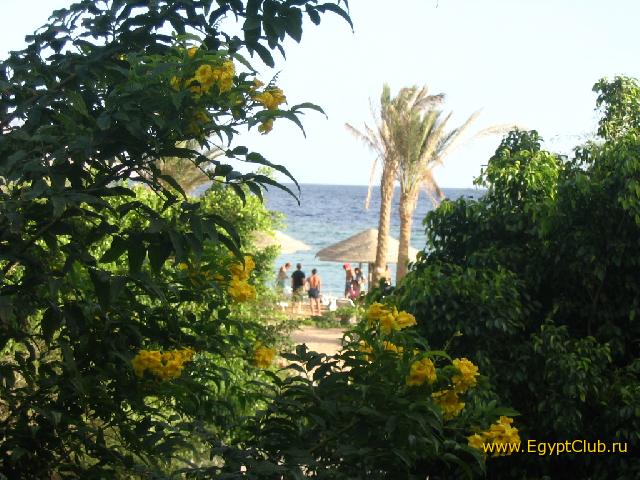 ��� � ������� (������, ���)