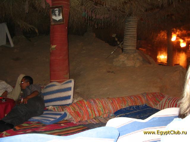 ���������� ���� � Sharks Bay