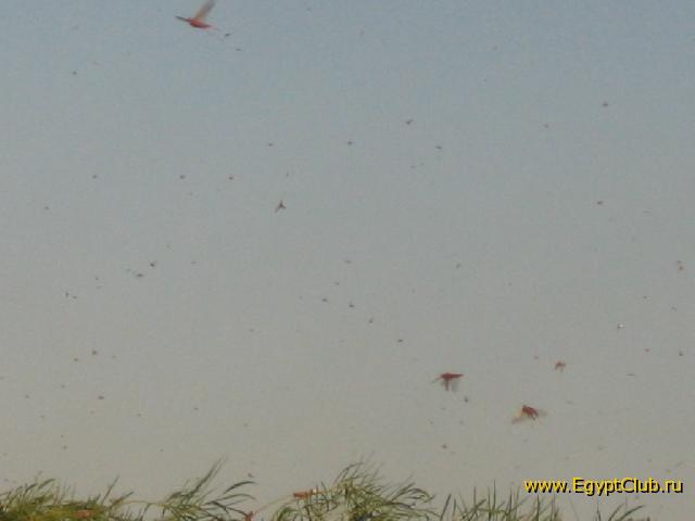 ��������� ������� � ���