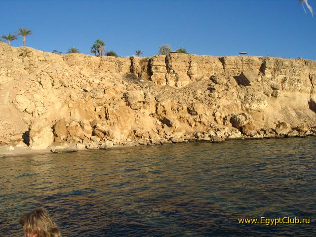 ��� ��������