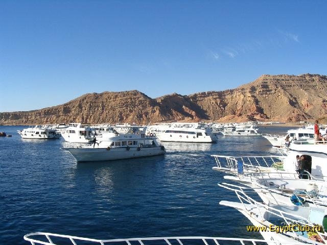 � ����� ����� ���