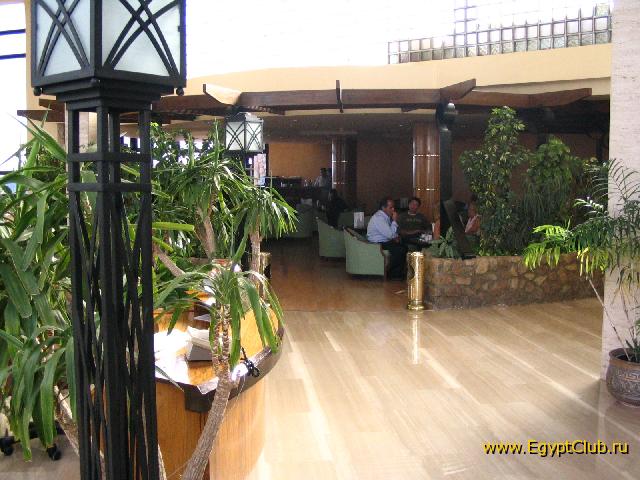 ���� ����� 