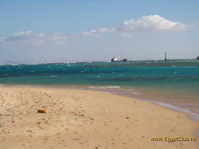 ���� ����� 