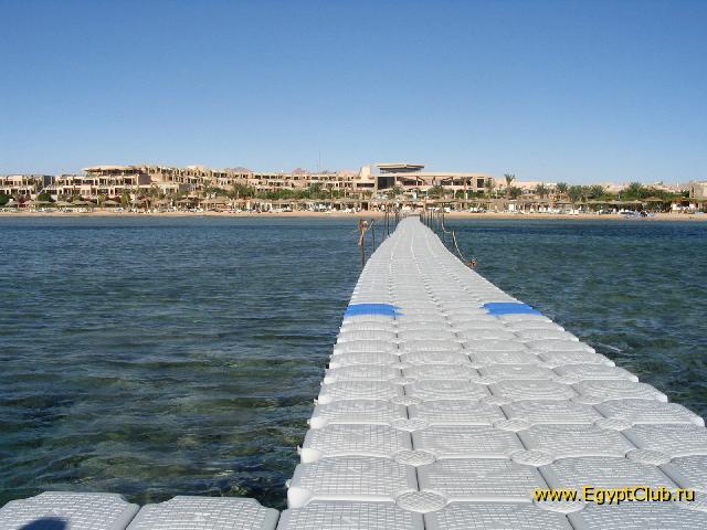 ���� ����� 