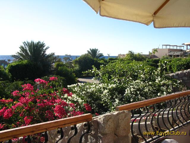 ����� ������