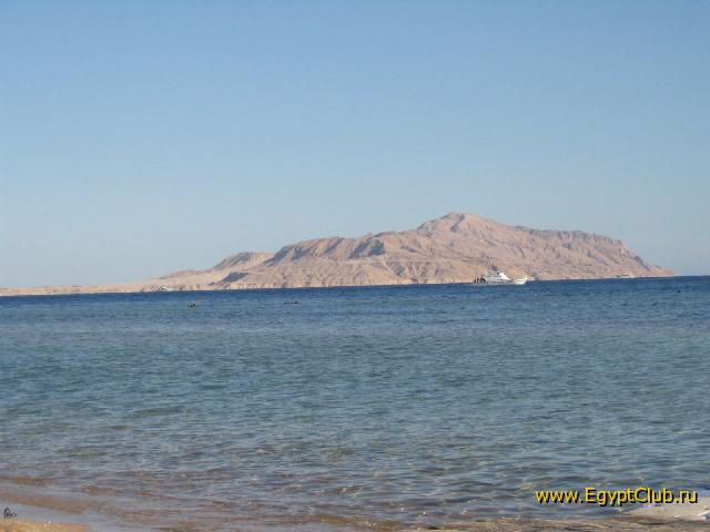 ������ �����