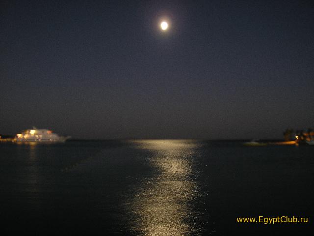 ���� �������