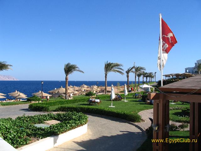 ��� �� �������-�����